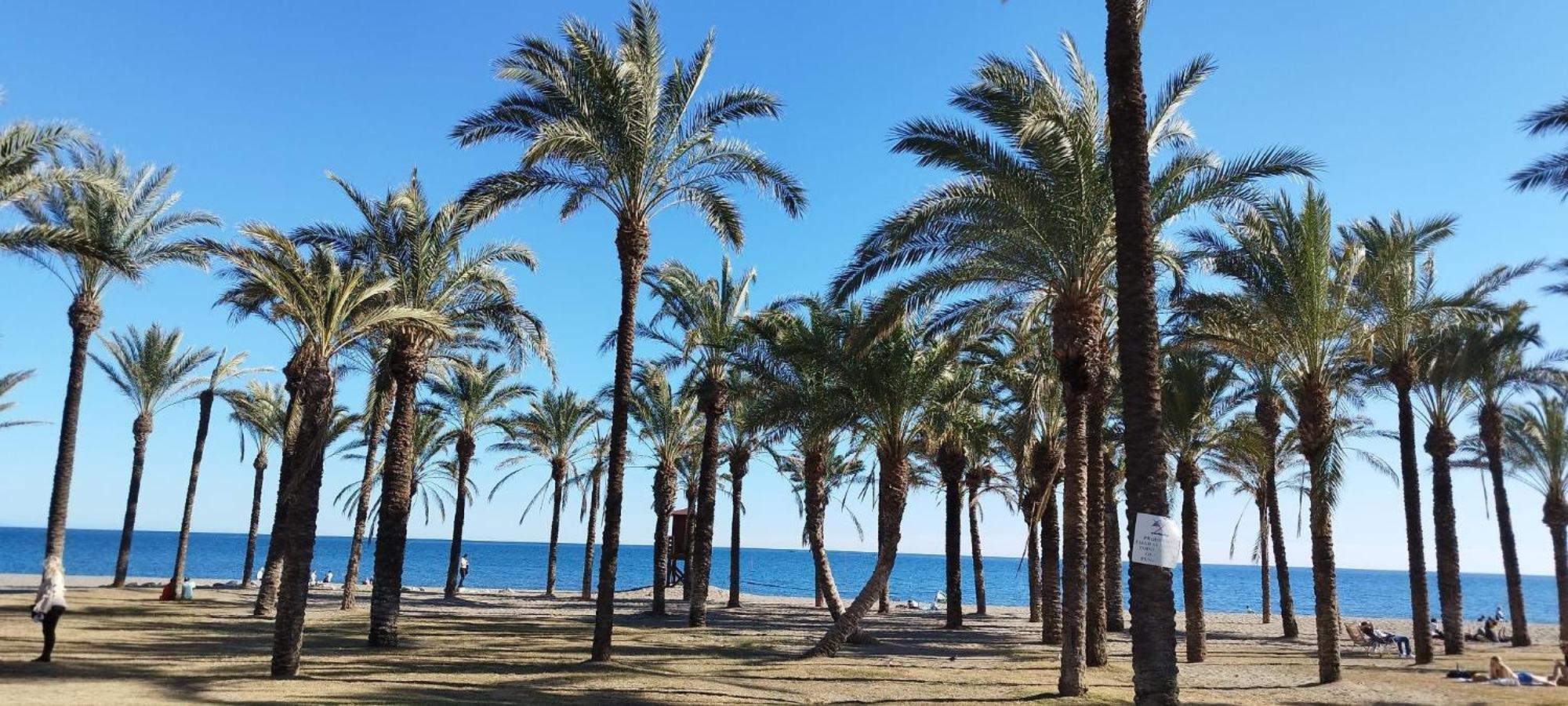 San Antonio - Beach, Pool And Terrace Torremolinos Exterior foto