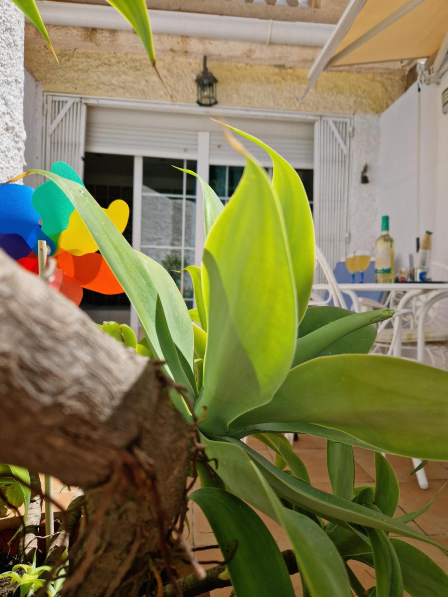 San Antonio - Beach, Pool And Terrace Torremolinos Exterior foto